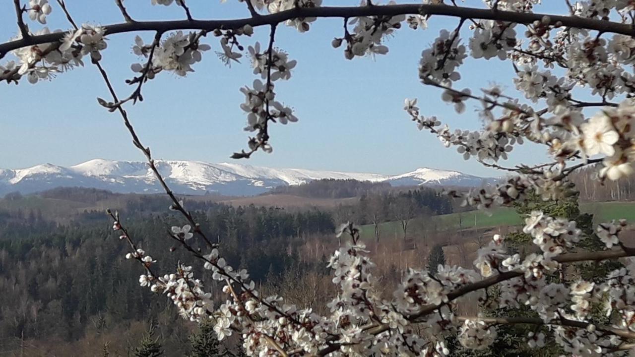 Kowalowe Skaly Spa&More Jelení Hora Exteriér fotografie